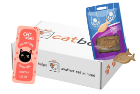 catbox for 2 cats